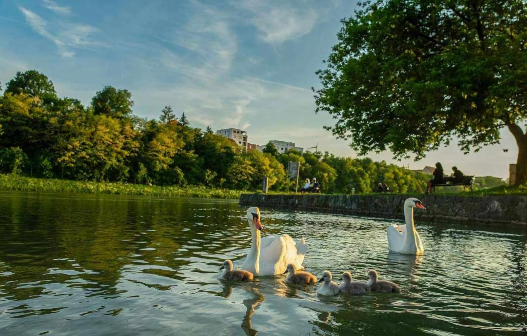 Apartment Dolce Vita Maribor Exteriör bild