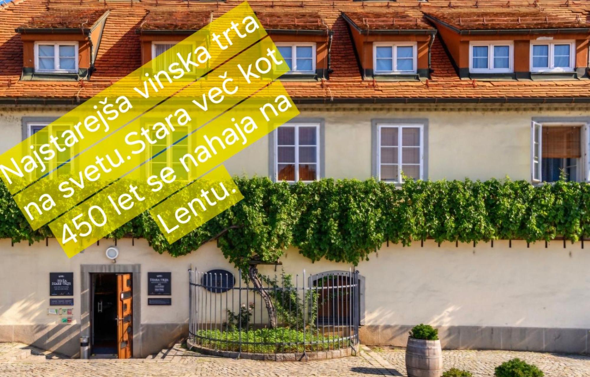 Apartment Dolce Vita Maribor Exteriör bild